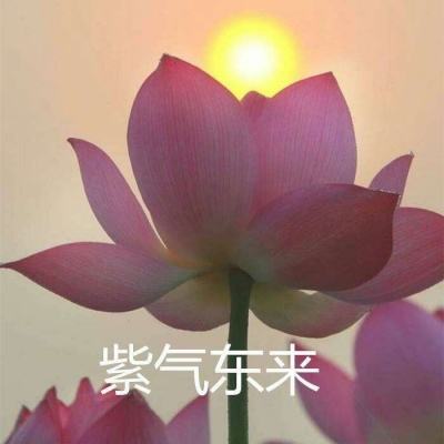 凡人修真vivo版下载